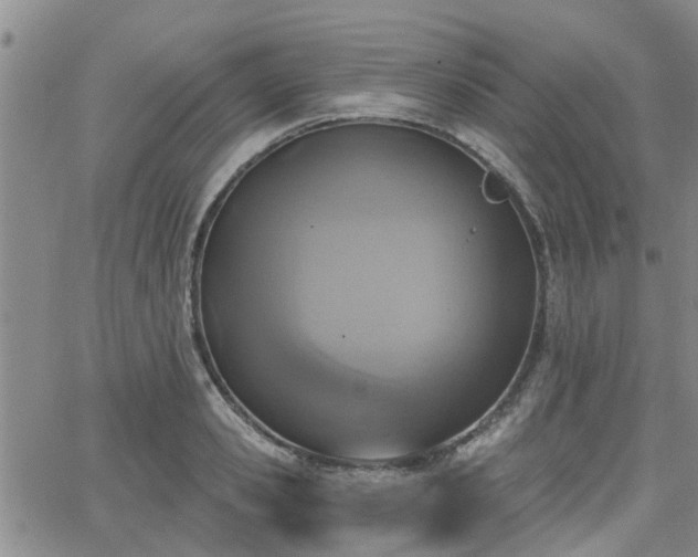 X0000063480941200601231343