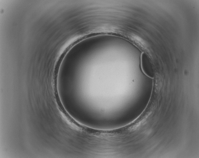 X0000063480942200601231343