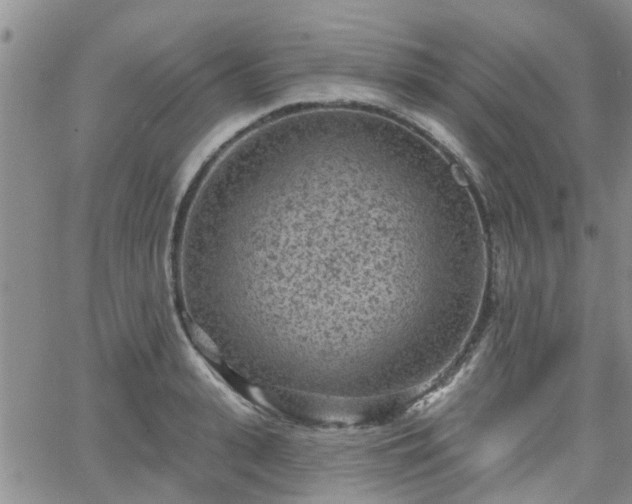 X0000063480943200601231343