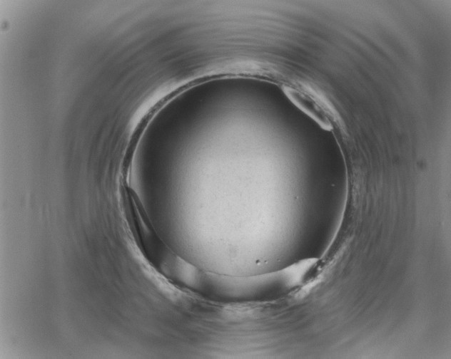 X0000063480944200601231343