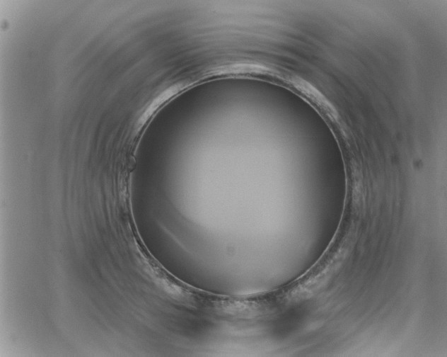 X0000063480945200601231343