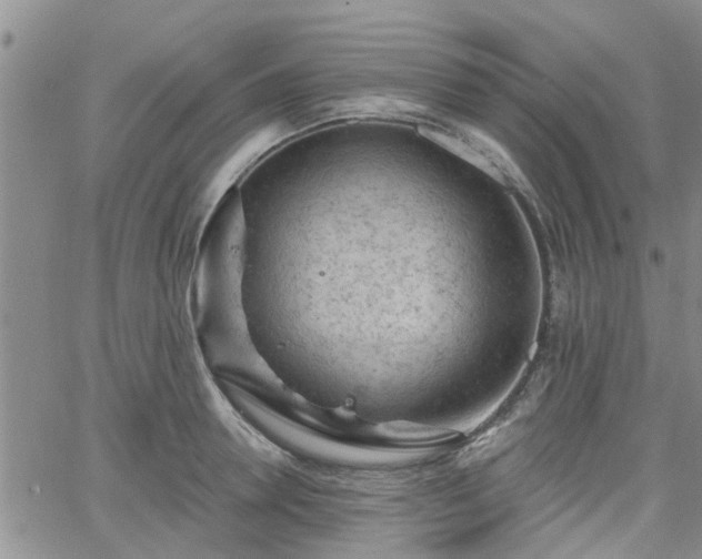 X0000063480946200601231343