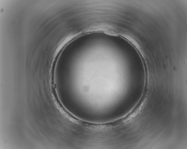 X0000063480949200601231343