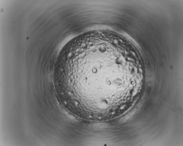 X0000063480953200601231343