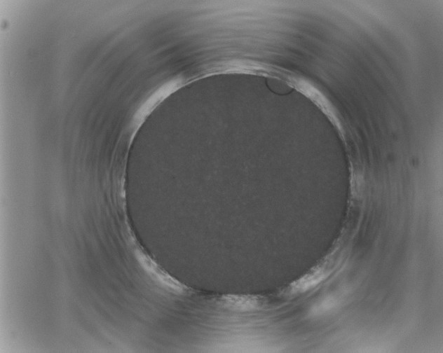 X0000063480954200601231343