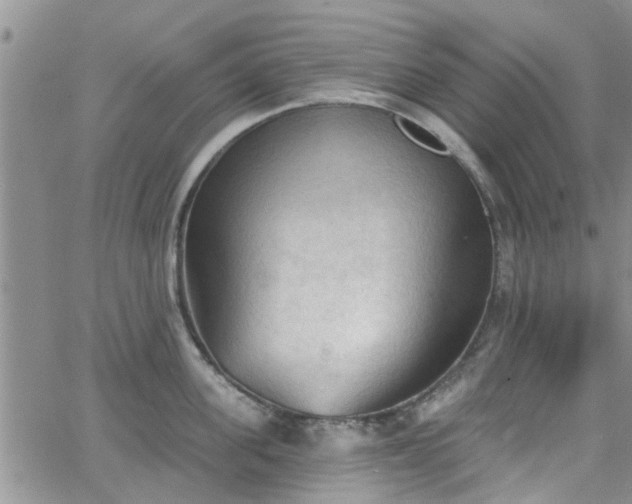 X0000063480955200601231343