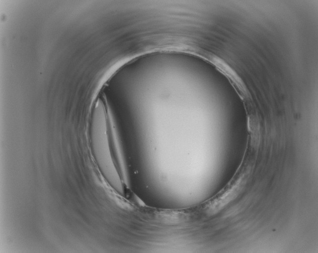 X0000063480956200601231343