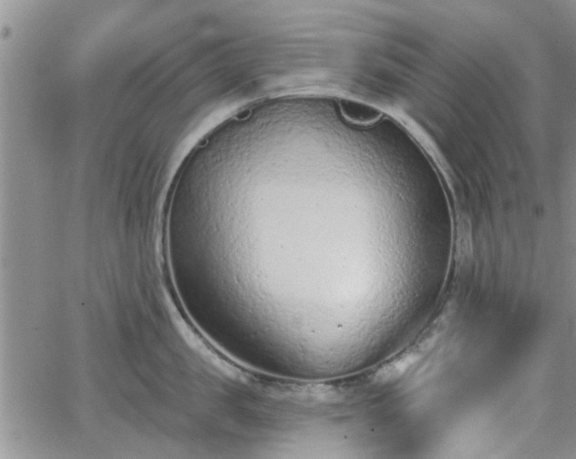 X0000063480957200601231343