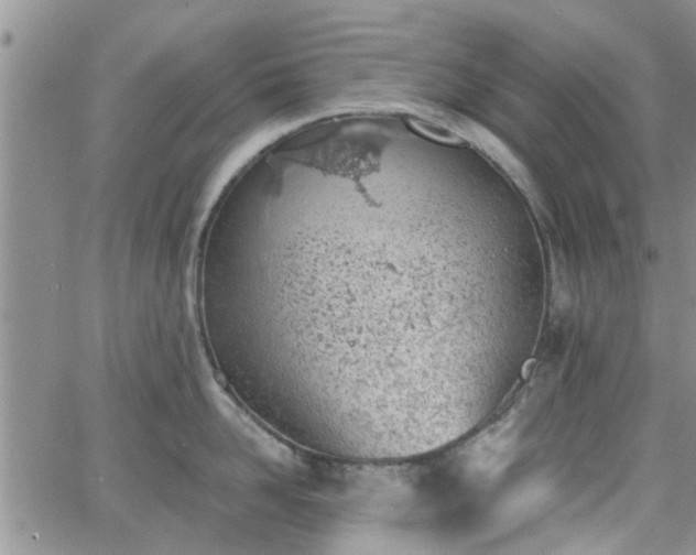 X0000063480958200601231343