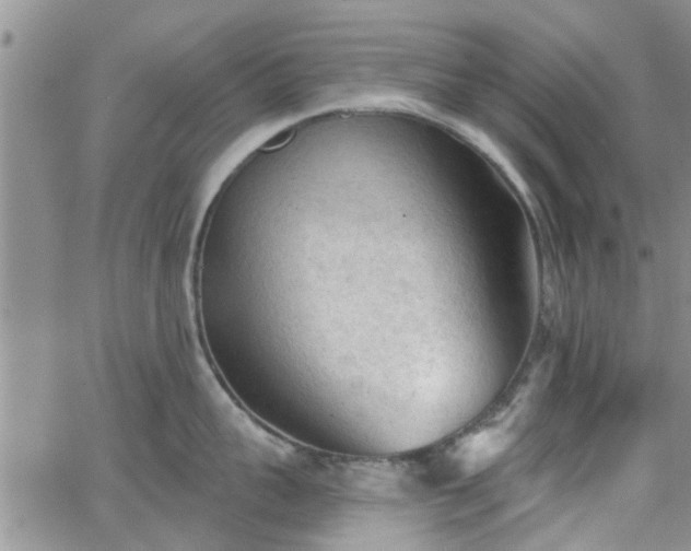 X0000063480959200601231343