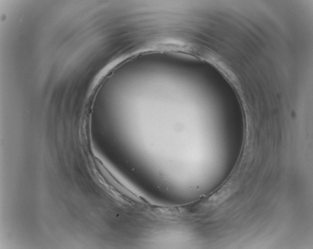 X0000063480960200601231344