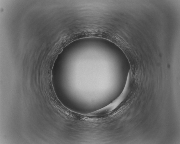 X0000063480961200601231343