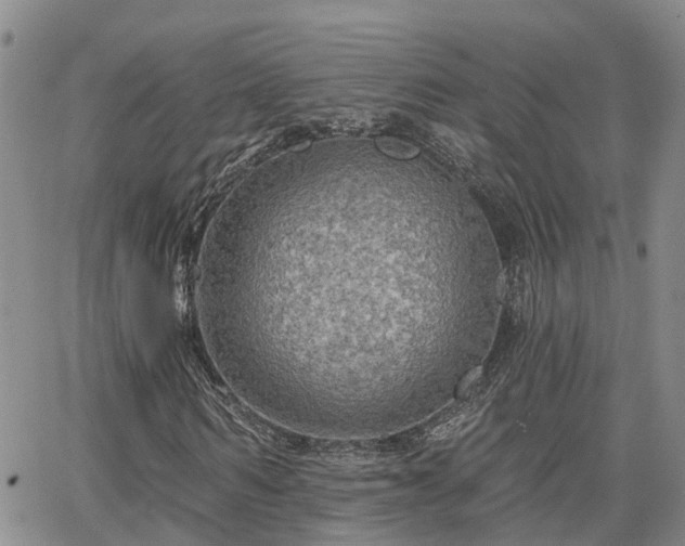 X0000063480962200601231343