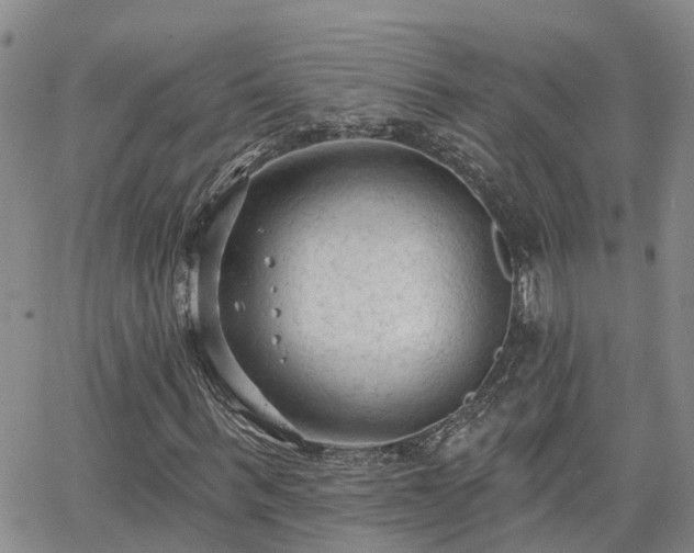 X0000063480963200601231343