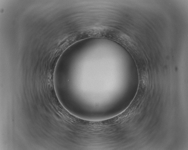 X0000063480964200601231343