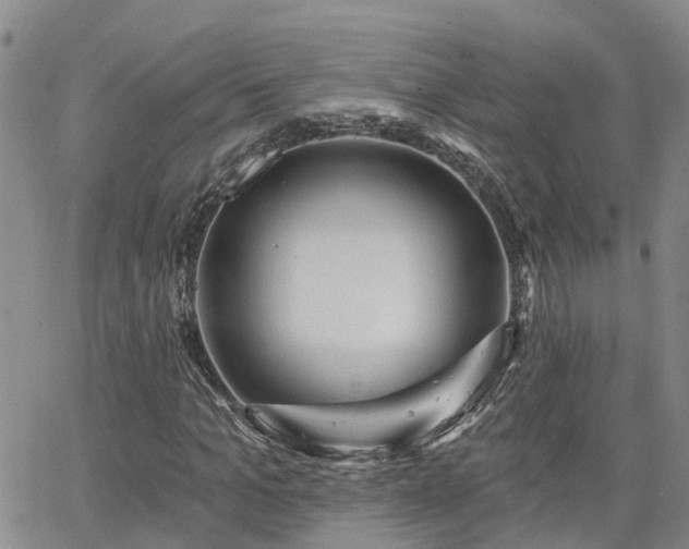 X0000063480965200601231343