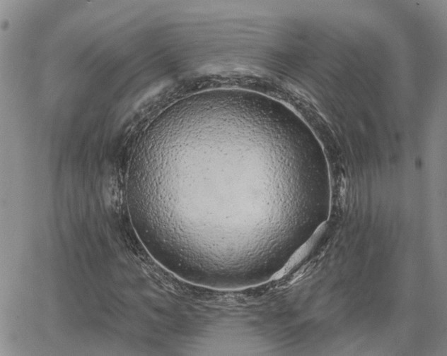 X0000063480966200601231343