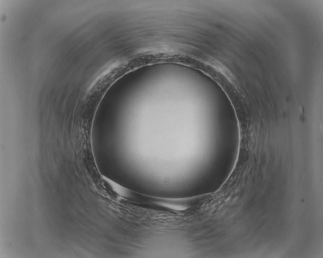 X0000063480967200601231343