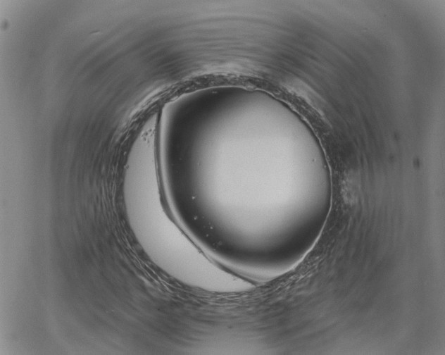 X0000063480968200601231343