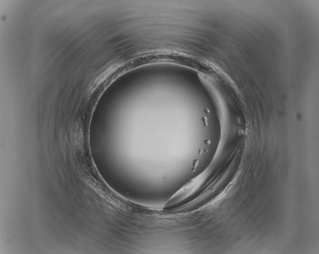 X0000063480969200601231343