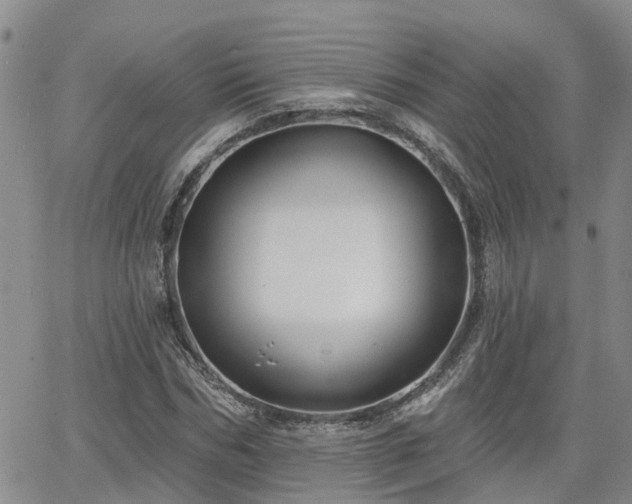 X0000063480970200601231343