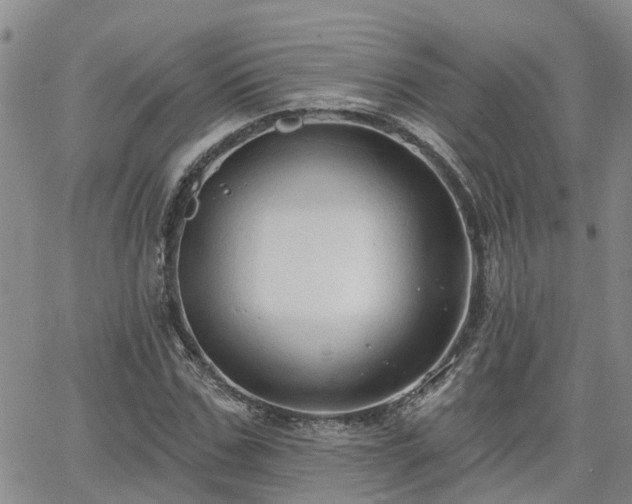 X0000063480971200601231343