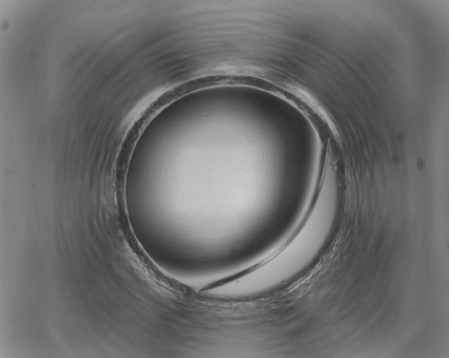 X0000063480972200601231343