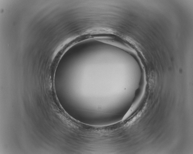 X0000063480973200601231343