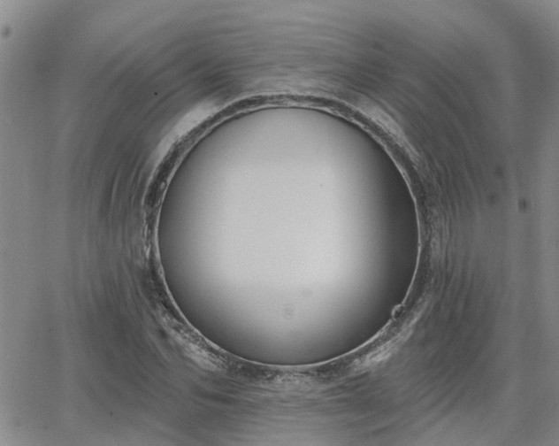 X0000063480974200601231343