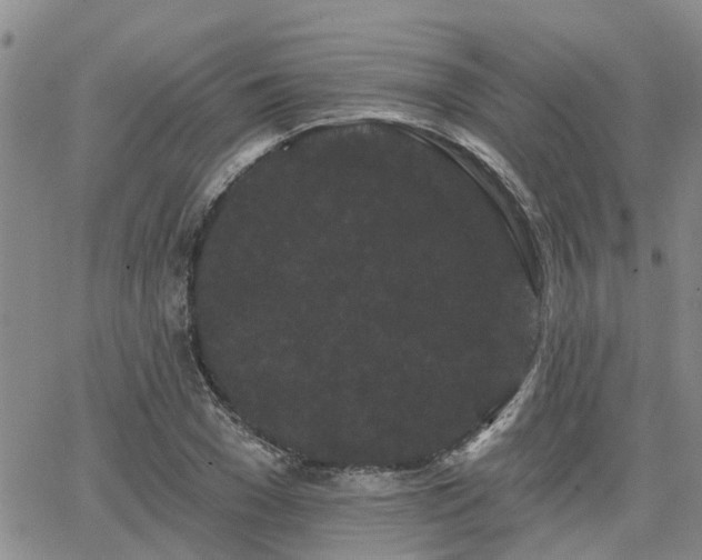 X0000063480977200601231342