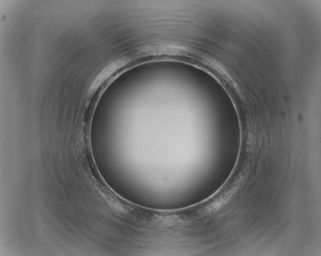 X0000063480978200601231342