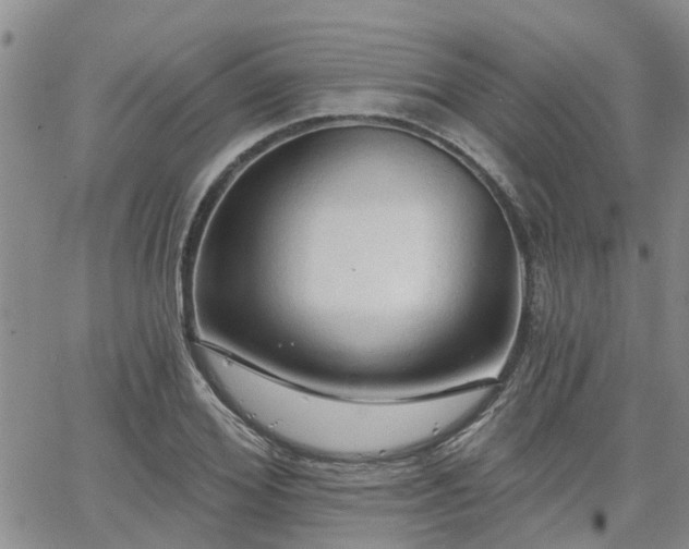 X0000063480980200601231342