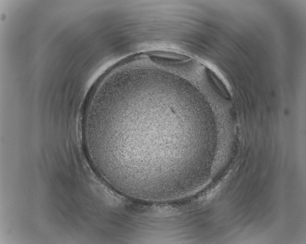 X0000063480983200601231342