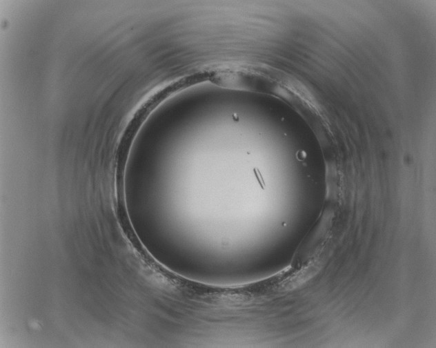 X0000063480984200601231342