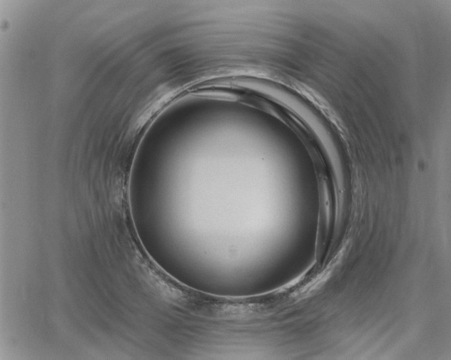 X0000063480985200601231342