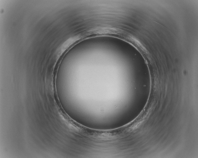 X0000063480986200601231342