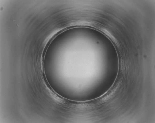 X0000063480988200601231342