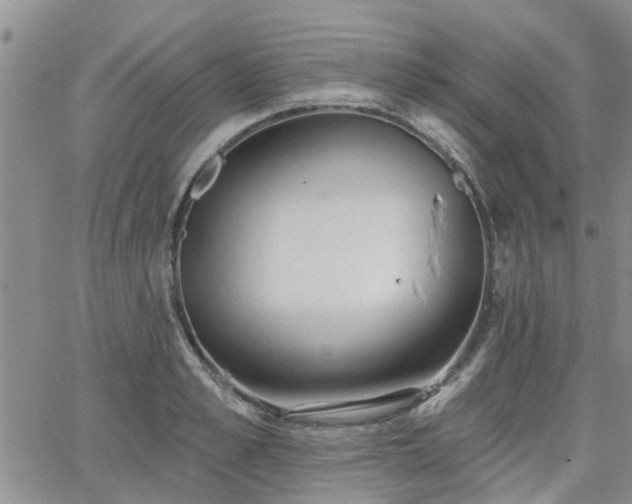 X0000063480989200601231342