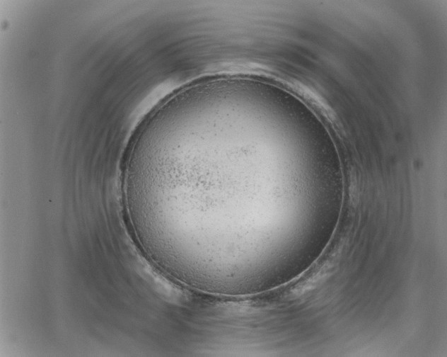 X0000063480990200601231342