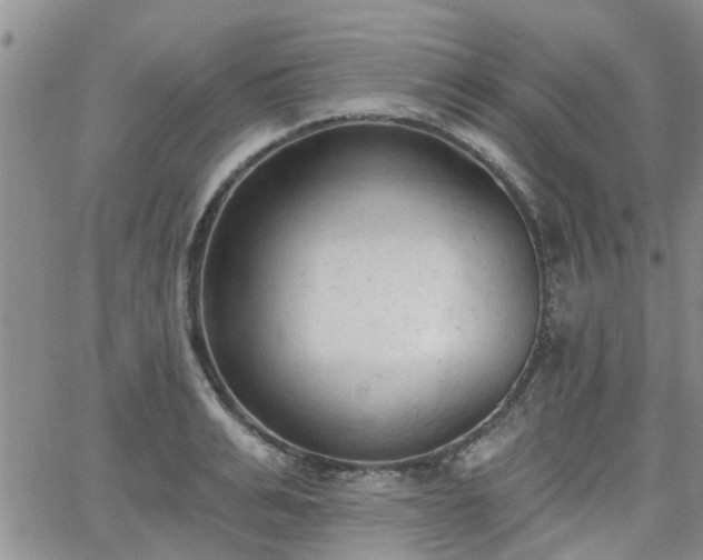 X0000063480991200601231342