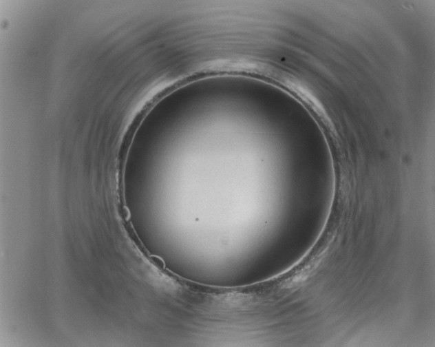 X0000063480992200601231342