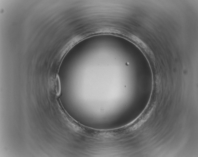 X0000063480993200601231342