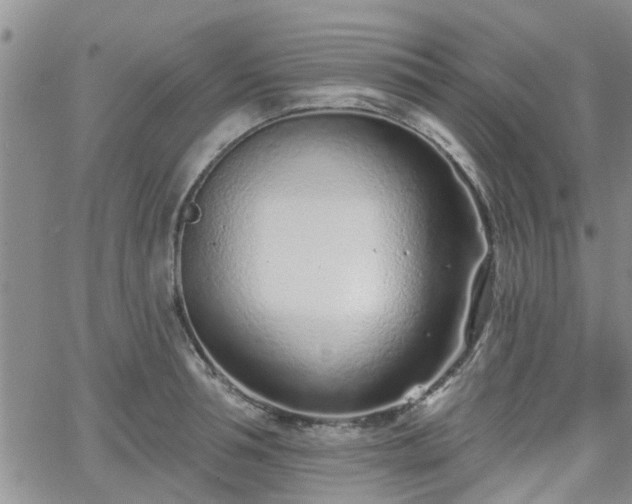 X0000063480994200601231342