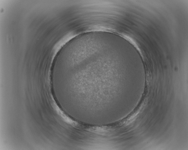 X0000063480995200601231342