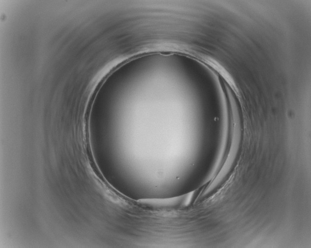 X0000063480996200601231342