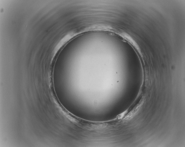 X0000063480997200601231342