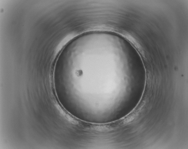 X0000063480998200601231342