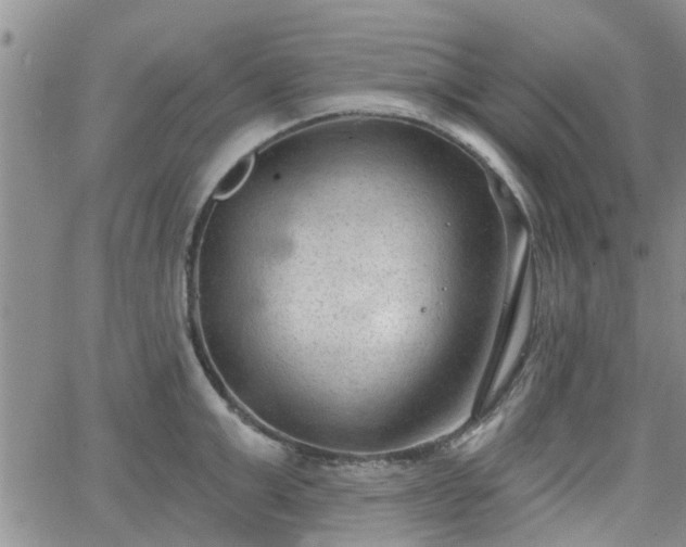 X0000063480999200601231342