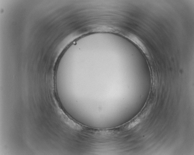 X0000063481000200601231342