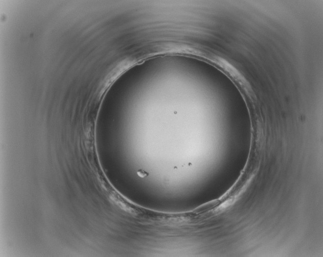 X0000063481001200601231342